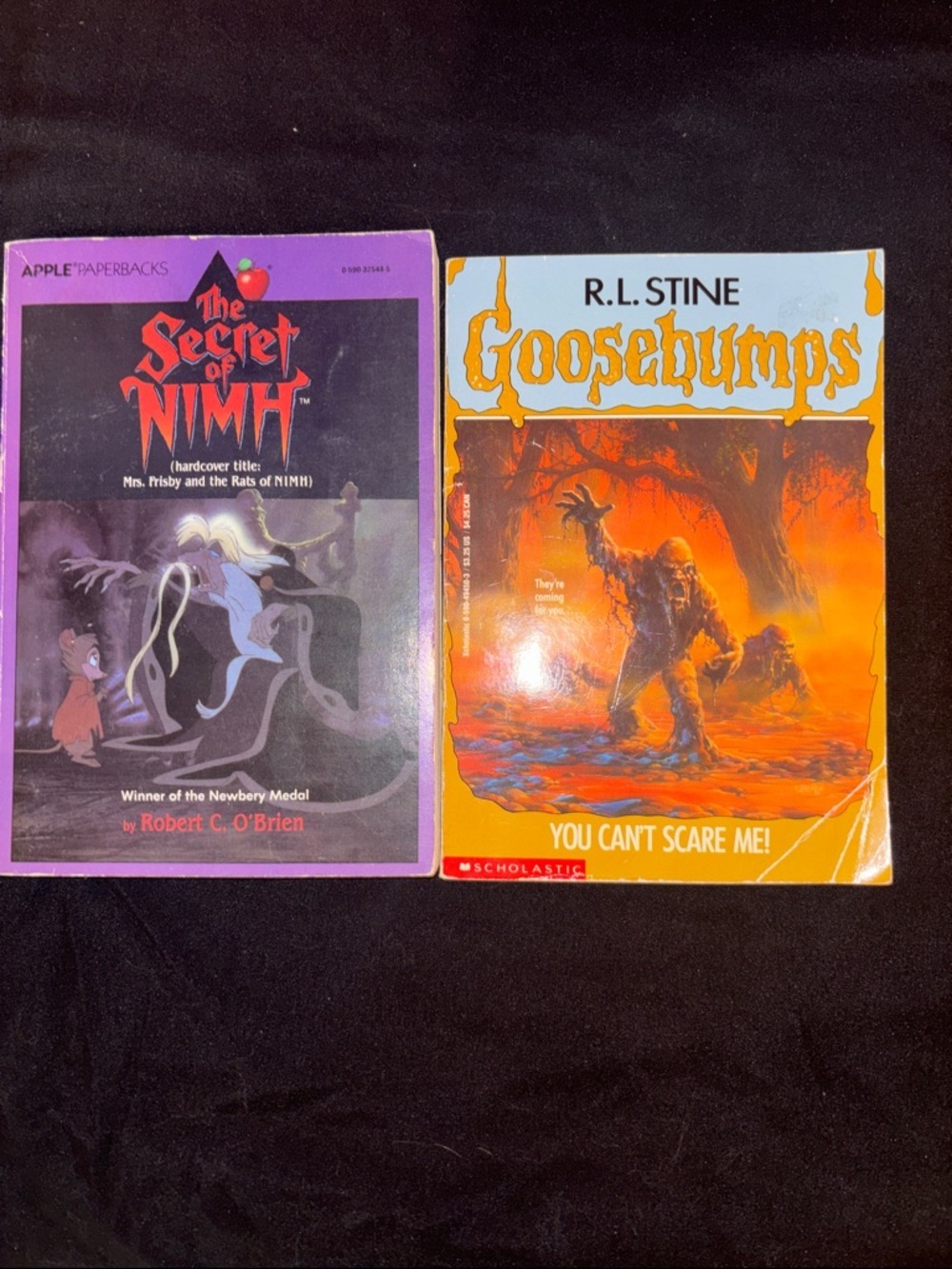 👻 Vintage Kids Book Bundle | The Secret of NIMH & Goosebumps
